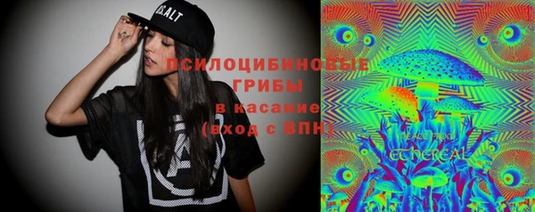 прущий лед Арсеньев