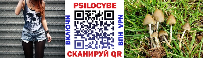 Галлюциногенные грибы Magic Shrooms  купить  цена  Жуков 